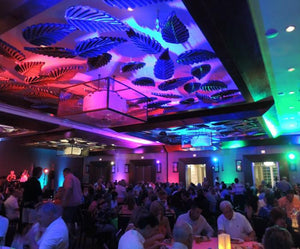 Chauvet DJ COLORstrip DMX RGB LED Linear Wash Light