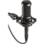 Load image into Gallery viewer, Audio-Technica AT2035 Large-diaphragm Condenser Microphone
